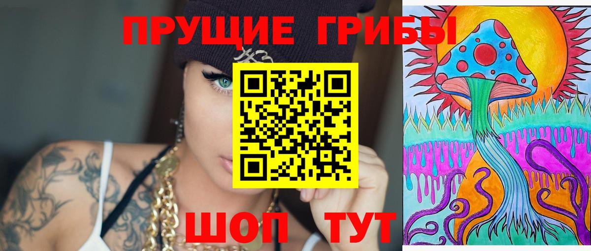 где купить наркотик  Псилоцибиновые грибы мухоморы  Вход с VPN  Псилоцибиновые грибы Magic Shrooms  Узловая 